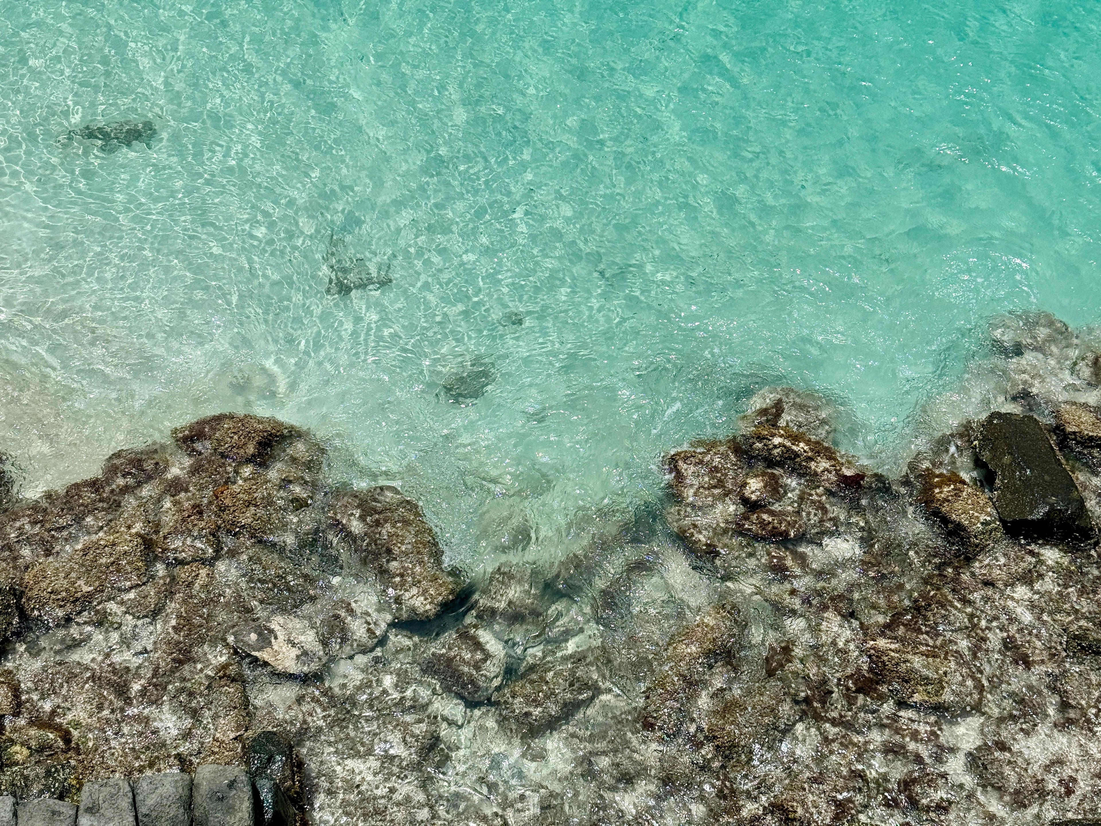 Close-up of rocky shoreline with clear turquoise water