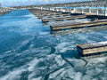 Frozen harbor with ice-covered water and wooden docks.