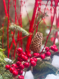 Pineberries 2